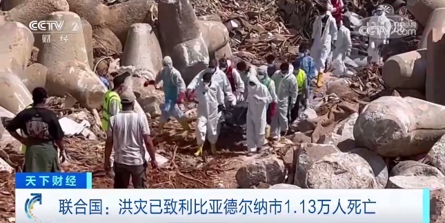 金沙369